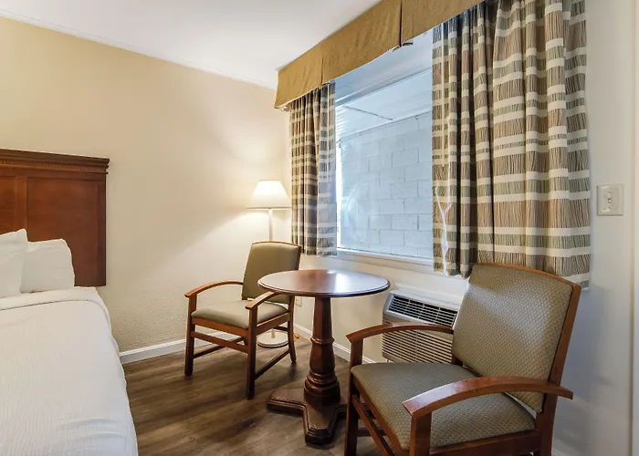 Oceanus - Rehoboth Beach